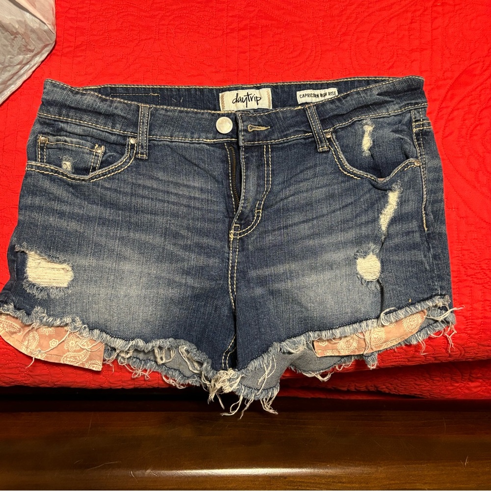 Day trip Shorts from Buckle